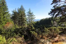 Discover a romantic getaway for two near Sofia